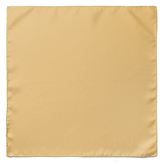 DEEP BROWN TWIN PAISLEY TIE SET